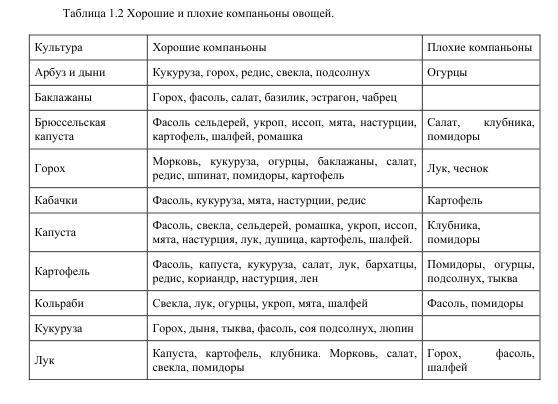 Про огород для бережливого и ленивого BublikB.A.Proogoroddljaberezhlivogoilenivogo.jpg