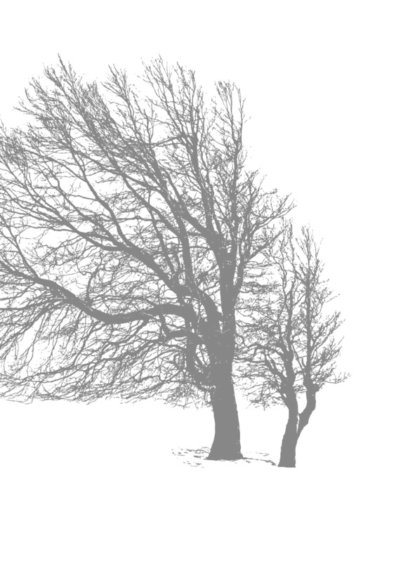 image2_5f33eba00a65df0007484af4_jpg.jpeg