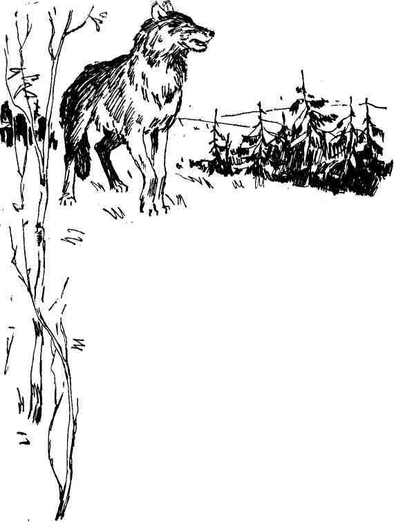 Вне закона img_18.jpeg