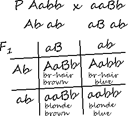 Ассорти Шерлока Холмса i_006.png