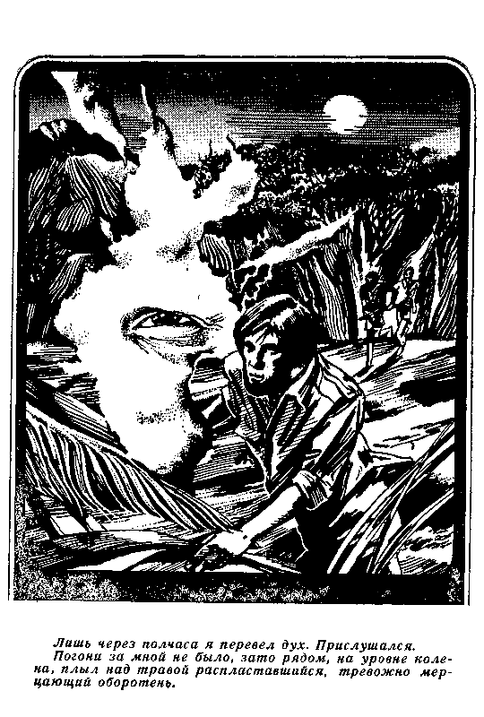 Разворованное чудо (сборник) pic_8.png