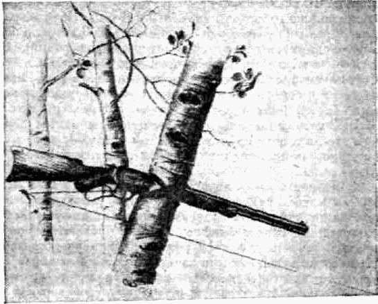 Календарь песчаного графства i_026.jpg
