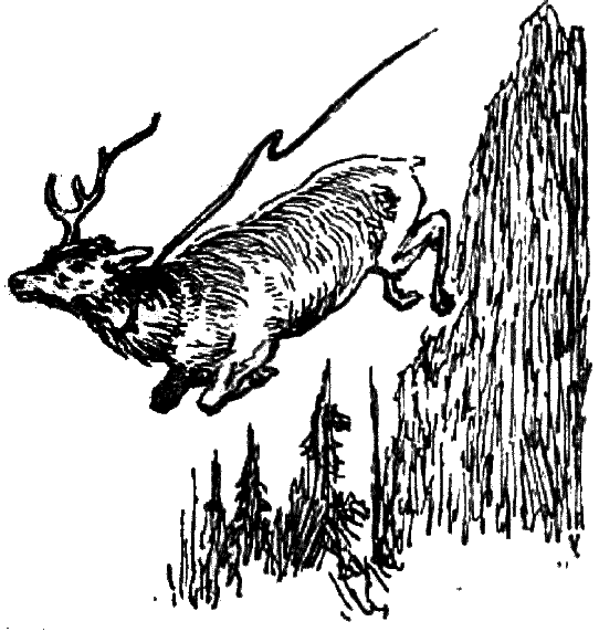 Таежные встречи i_017.png