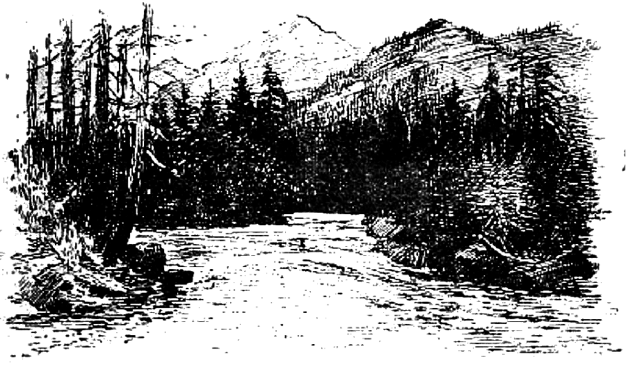 Таежные встречи i_027.png