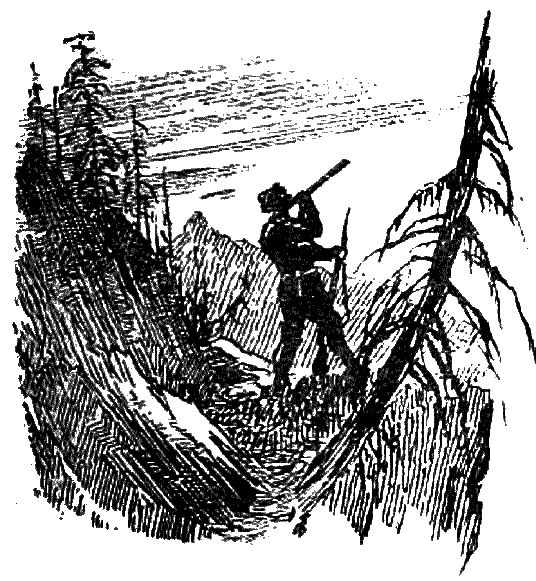 Таежные встречи i_033.png