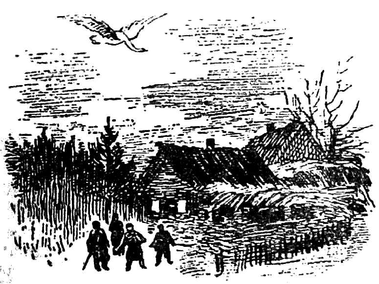 Таежные встречи i_007.png