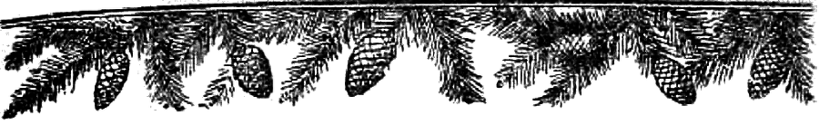 Таежные встречи i_005.png