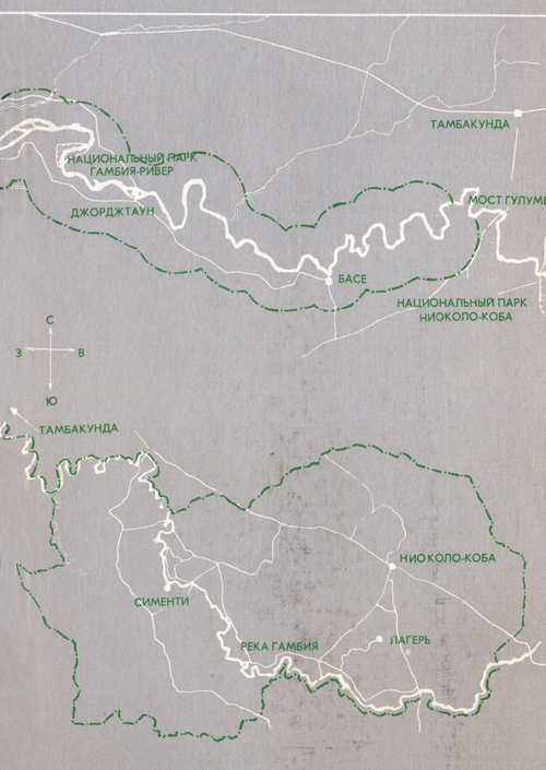 Шимпанзе горы Ассерик i_002.png