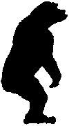 Шимпанзе горы Ассерик i_003.png