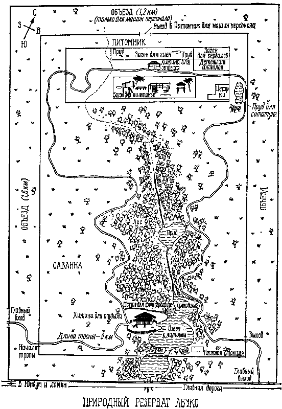 Шимпанзе горы Ассерик i_006.png