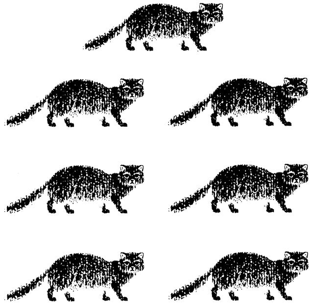 Тринадцать черных кошек _3.jpg