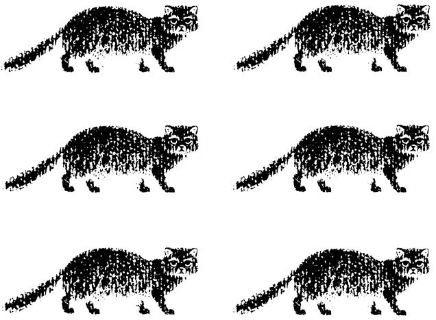 Тринадцать черных кошек _4.jpg