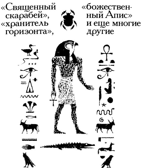 Тринадцать черных кошек _20.jpg