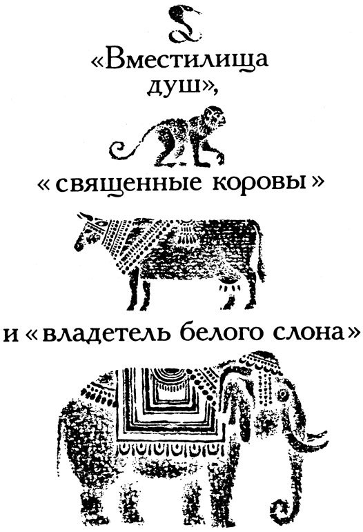 Тринадцать черных кошек _22.jpg