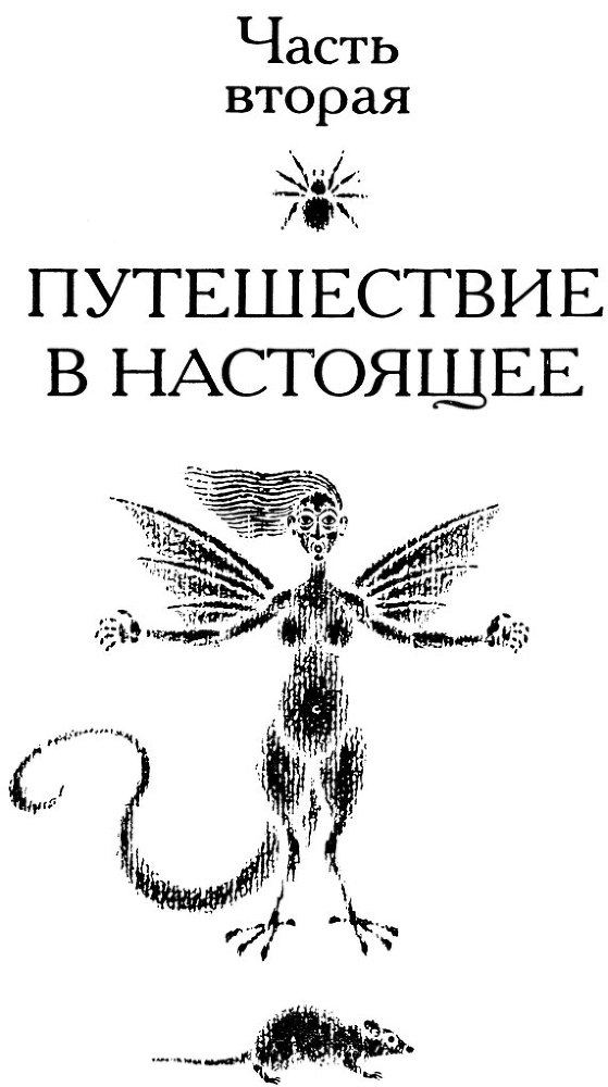 Тринадцать черных кошек _32.jpg