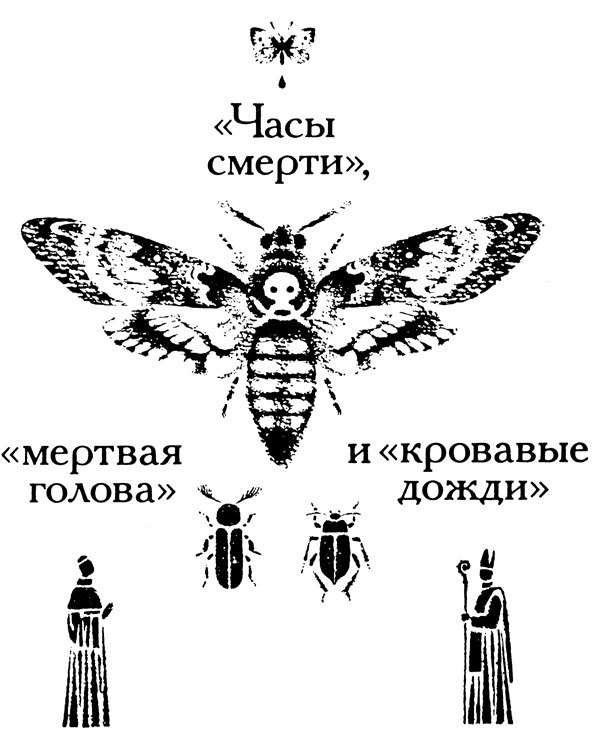 Тринадцать черных кошек _35.jpg