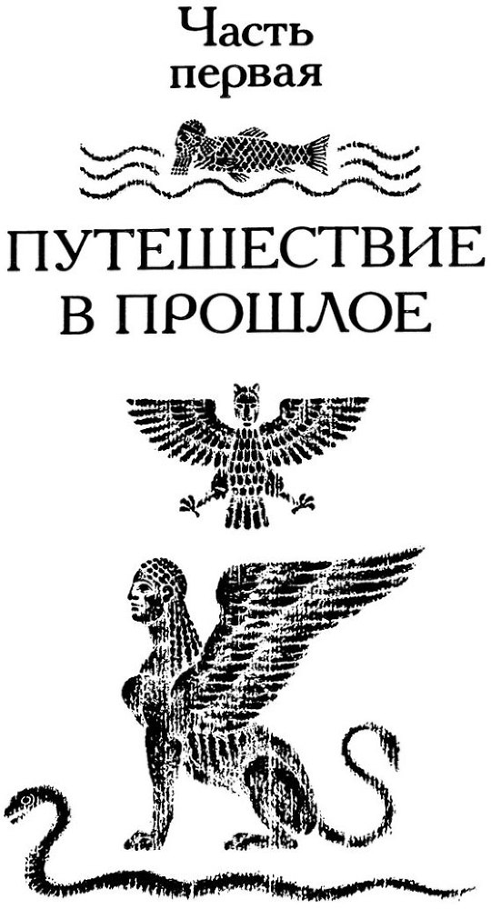 Тринадцать черных кошек _8.jpg