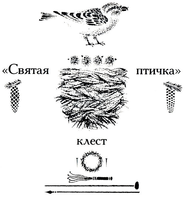 Тринадцать черных кошек _43.jpg