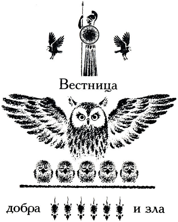 Тринадцать черных кошек _47.jpg