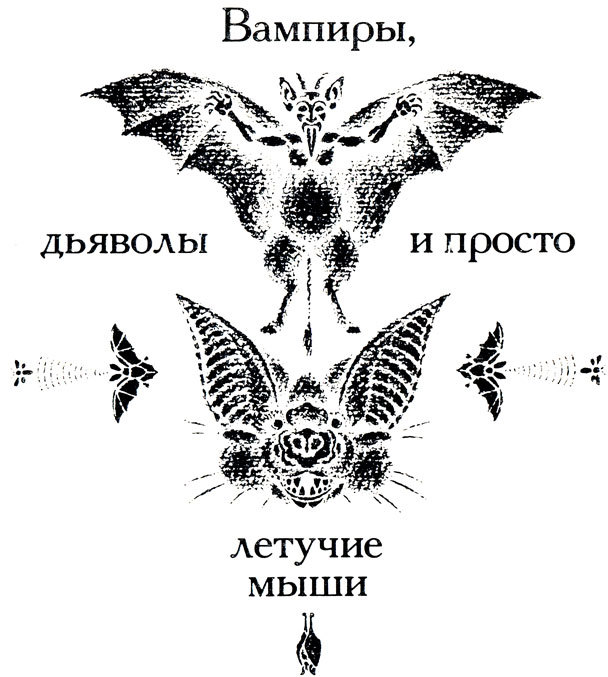 Тринадцать черных кошек _51.jpg