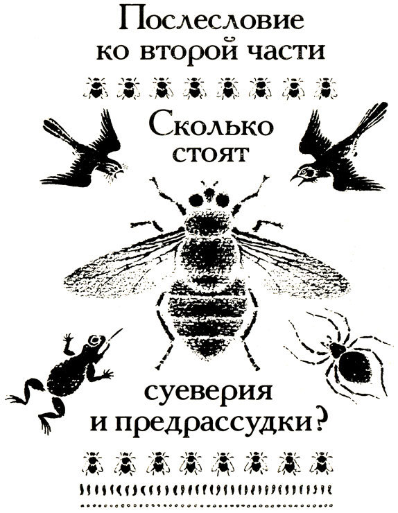 Тринадцать черных кошек _55.jpg