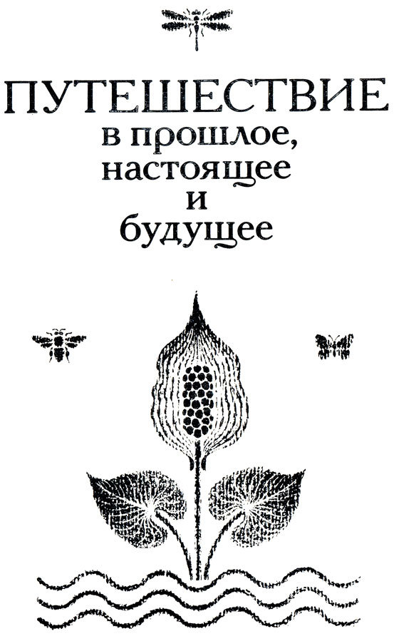 Тринадцать черных кошек _58.jpg