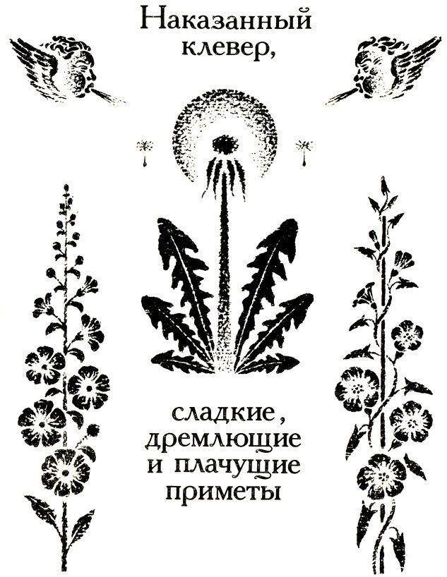Тринадцать черных кошек _62.jpg