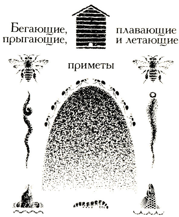 Тринадцать черных кошек _64.jpg