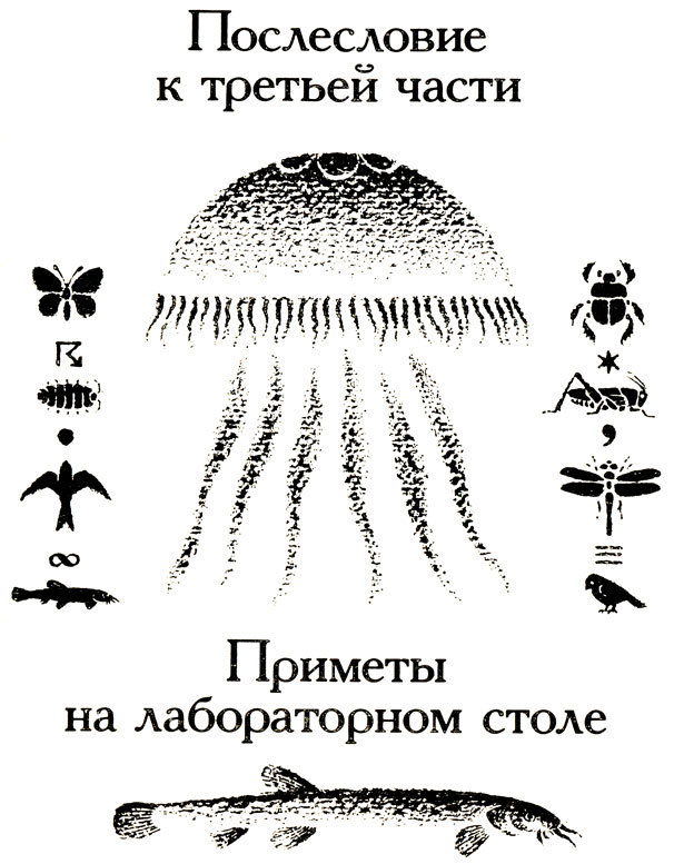 Тринадцать черных кошек _66.jpg