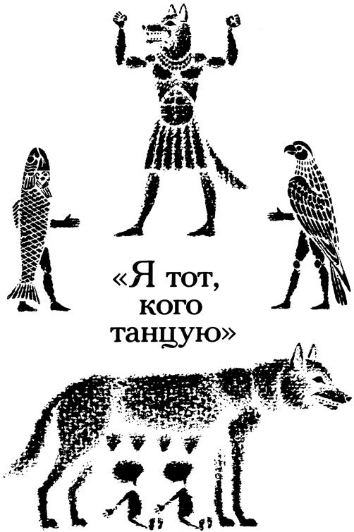 Тринадцать черных кошек _13.jpg