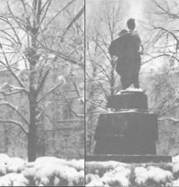 Прибалтика. Почему они не любят Бронзового солдата _52.jpg