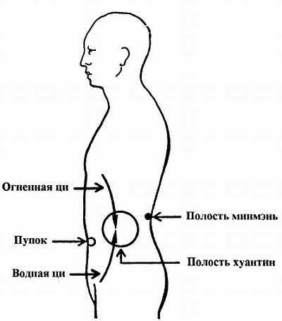 Секреты молодости. Цигун изменения мышц и сухожилий. Цигун промывания костного и головного мозга _83.jpg