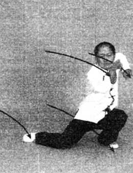 Основы шаолиньского стиля «Белый Журавль»: боевая сила и цигун _181.jpg