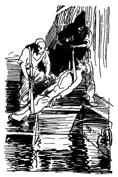 Собрание сочинений. Т. 17.  i_014.png