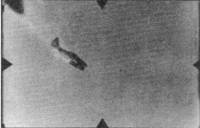 Me 262 последняя надежда Люфтваффе Часть 1 pic_103.jpg