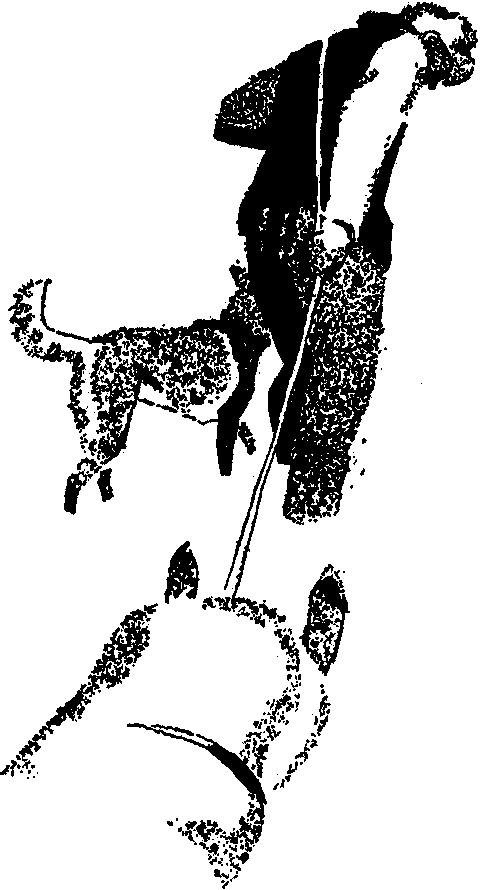 Синие горы (сборник) i_010.png