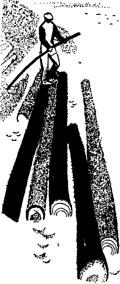 Синие горы (сборник) i_011.png