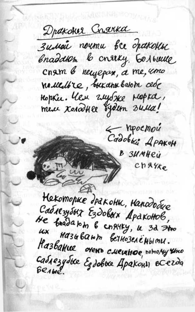 Как перехитрить дракона _25.jpg