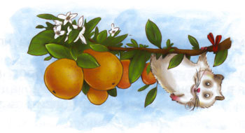 Морковка Семнадцатая (с илл.) _23.jpg