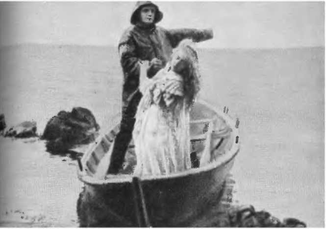 Всеобщая история кино. Том 2 (Кино становится искусством 1909-1914) _115.jpg