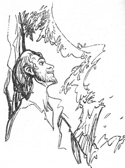 Собрание сочинений. т. 5 i_006.jpg