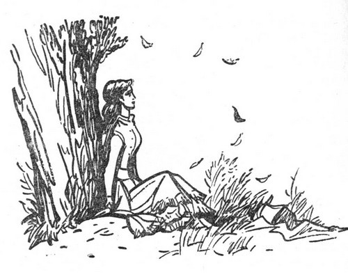Собрание сочинений. т. 5 i_012.jpg