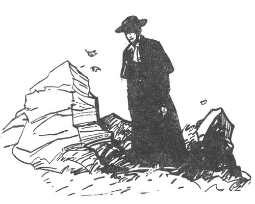 Собрание сочинений. т. 5 i_013.jpg