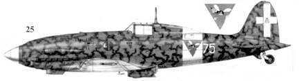 Итальянские асы 1940-45 г. pic_91.jpg