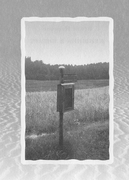 Женщина в янтаре i_001.jpg