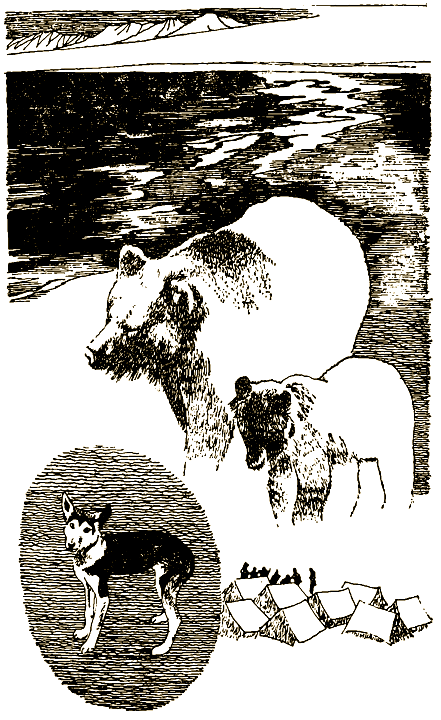 Мой знакомый медведь i_005.png