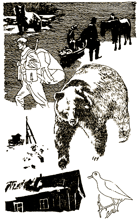 Мой знакомый медведь i_006.png