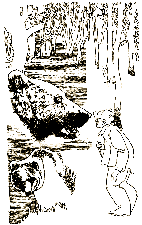 Мой знакомый медведь i_007.png