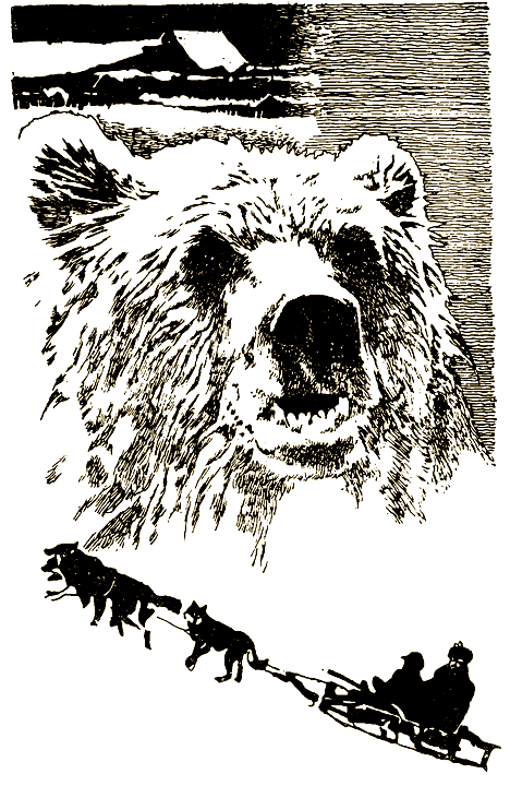 Мой знакомый медведь i_008.png