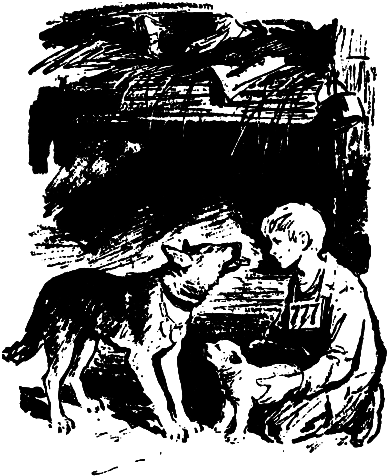 Полыновский улей img_4_21.png